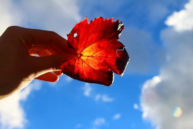 Ultimate Guide to Creativity Coaching