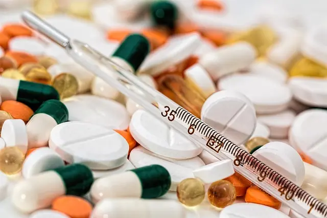 Guide d'Achat : Appareil de Cuisson Basse Température
